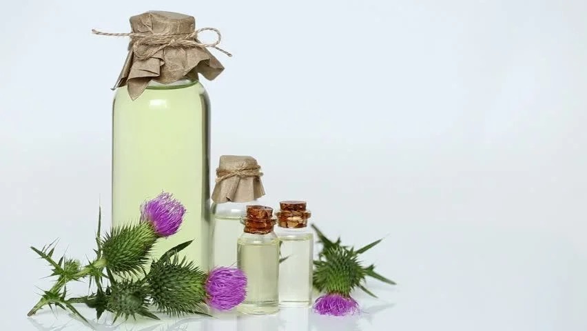 عرق خار مریم برای کبد چرب با عصاره طبیعی گیاهی